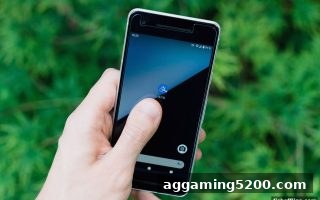捕鱼达人单机版玩家必读：数字货币入金失败全攻略与解决之道