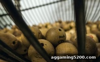 捕鱼达人单机版：WPT扑克游戏单双与和值玩法全攻略及充值技巧