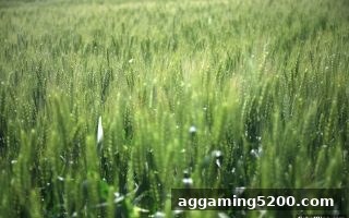 捕鱼达人单机版玩家必读：游戏流水返现机制全解析，合规提升收益的实战指南
