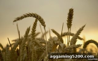 新用户福利全解析：捕鱼达人单机版平台注册送现金券，免实名畅玩无忧