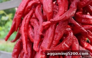 捕鱼达人单机版注册福利全攻略：从选平台到代理收益