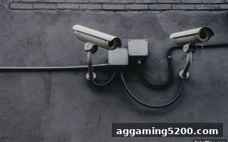 足球直播平台陷阱全揭秘：捕鱼达人单机版教你辨别资质与安全风险