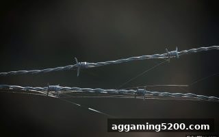 捕鱼达人单机版玩家必读：Dota2赛事预测的法律红线与合规操作